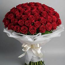 Букет 101 Красная роза Блэк Мэджик в Стерлибашево
