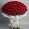 Букет 101 Красная роза Блэк Мэджик в Стерлибашево