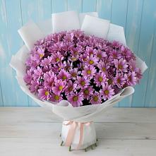Букет цветов из:  Хризантемы в Стерлибашево