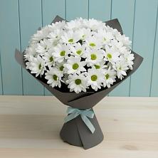 Букет цветов из:  Хризантемы в Стерлибашево