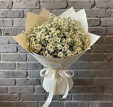 Букет цветов из:  Ромашки в Стерлибашево