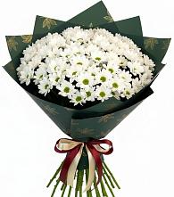 Букет цветов из:  Хризантемы в Стерлибашево