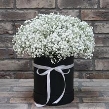 Цветочная композиция из Гипсофила в шляпной коробке #REPLACE_PRED# Стерлибашево