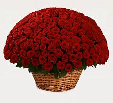 Премиум букет из: Розы в Стерлибашево