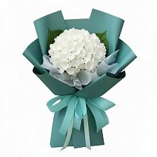 Букет цветов из:  Гортензия в Стерлибашево